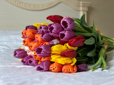 Czy świętowanie jest potrzebne?